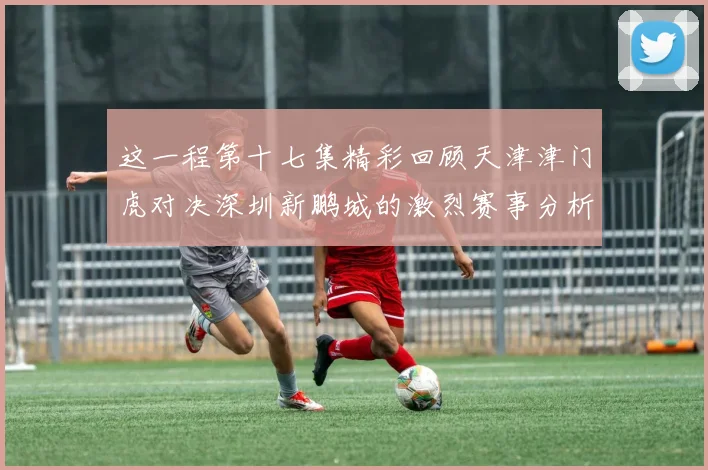 这一程第十七集精彩回顾天津津门虎对决深圳新鹏城的激烈赛事分析与亮点解读