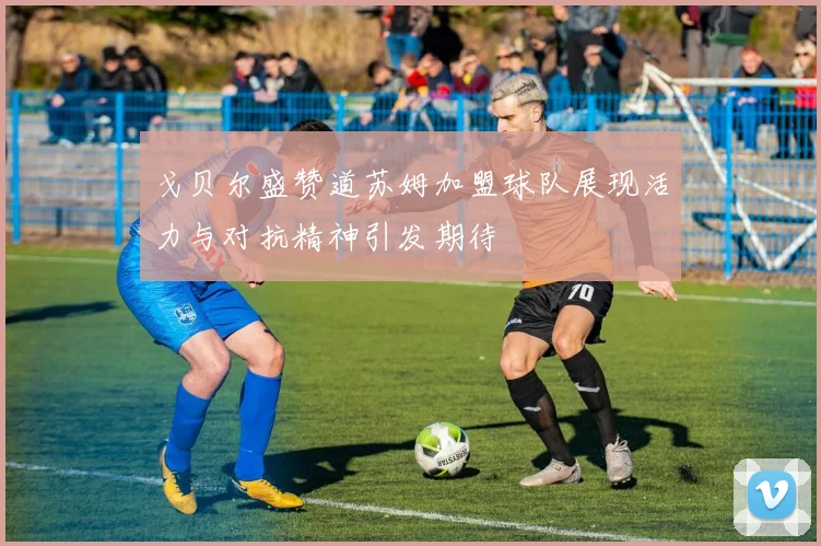 戈贝尔盛赞道苏姆加盟球队展现活力与对抗精神引发期待