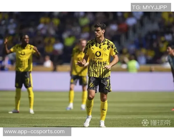 雷纳谈世界杯参赛希望：努力与新策略助我克服伤病挑战