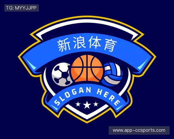 介绍新浪体育